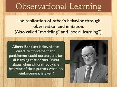 observational learning process