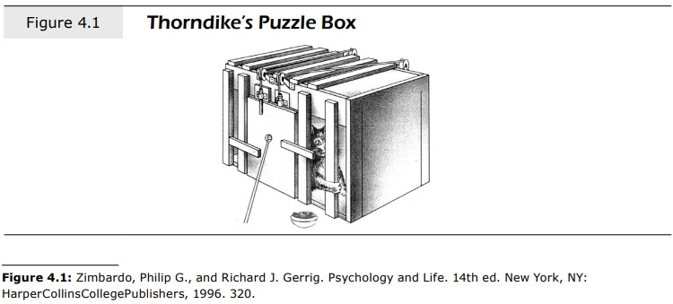 Thorndike puzzle box