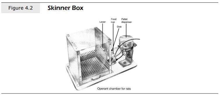 skinner box