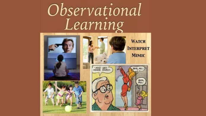 observational learning theory
