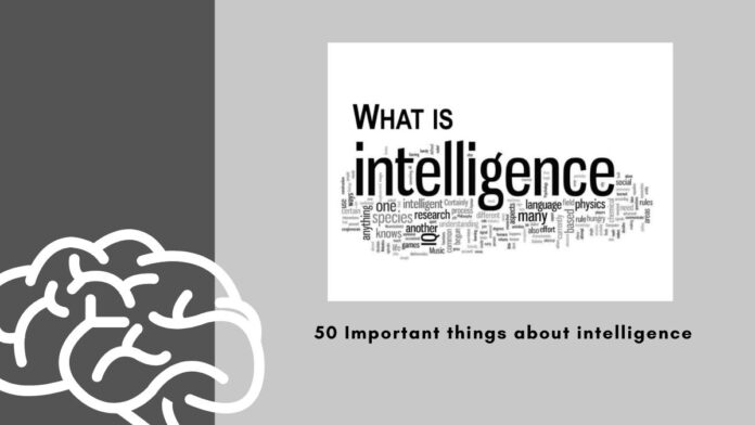 Important things about intelligence