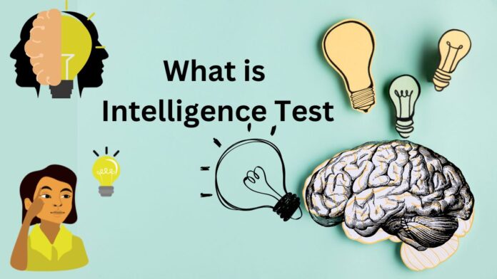 Intelligence Test